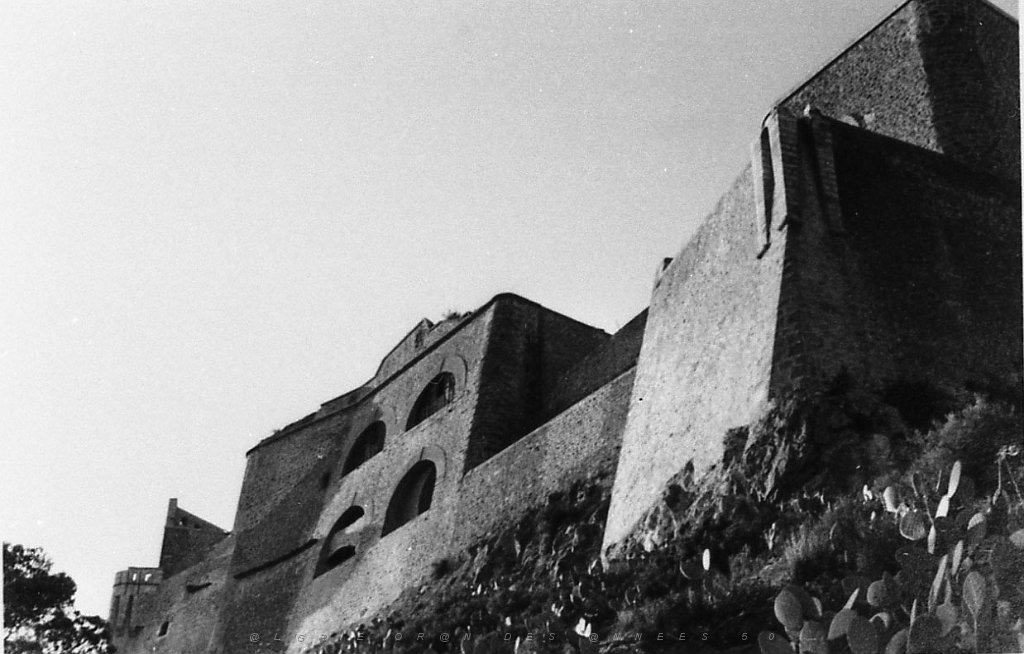 ORAN 02333.jpg